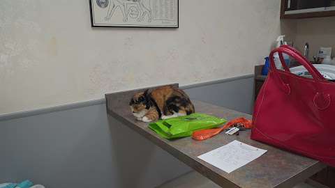 Jobs in Genesee Valley Veterinary Hospital - reviews